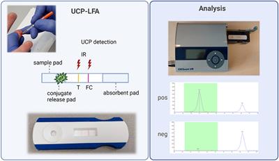Field-friendly anti-PGL-I serosurvey in children to monitor Mycobacterium leprae transmission in Bihar, India